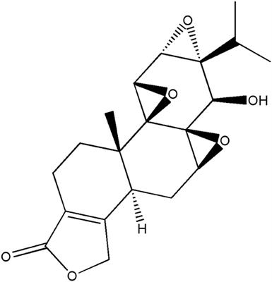 Frontiers | Development Of Triptolide Self-Microemulsifying Drug ...